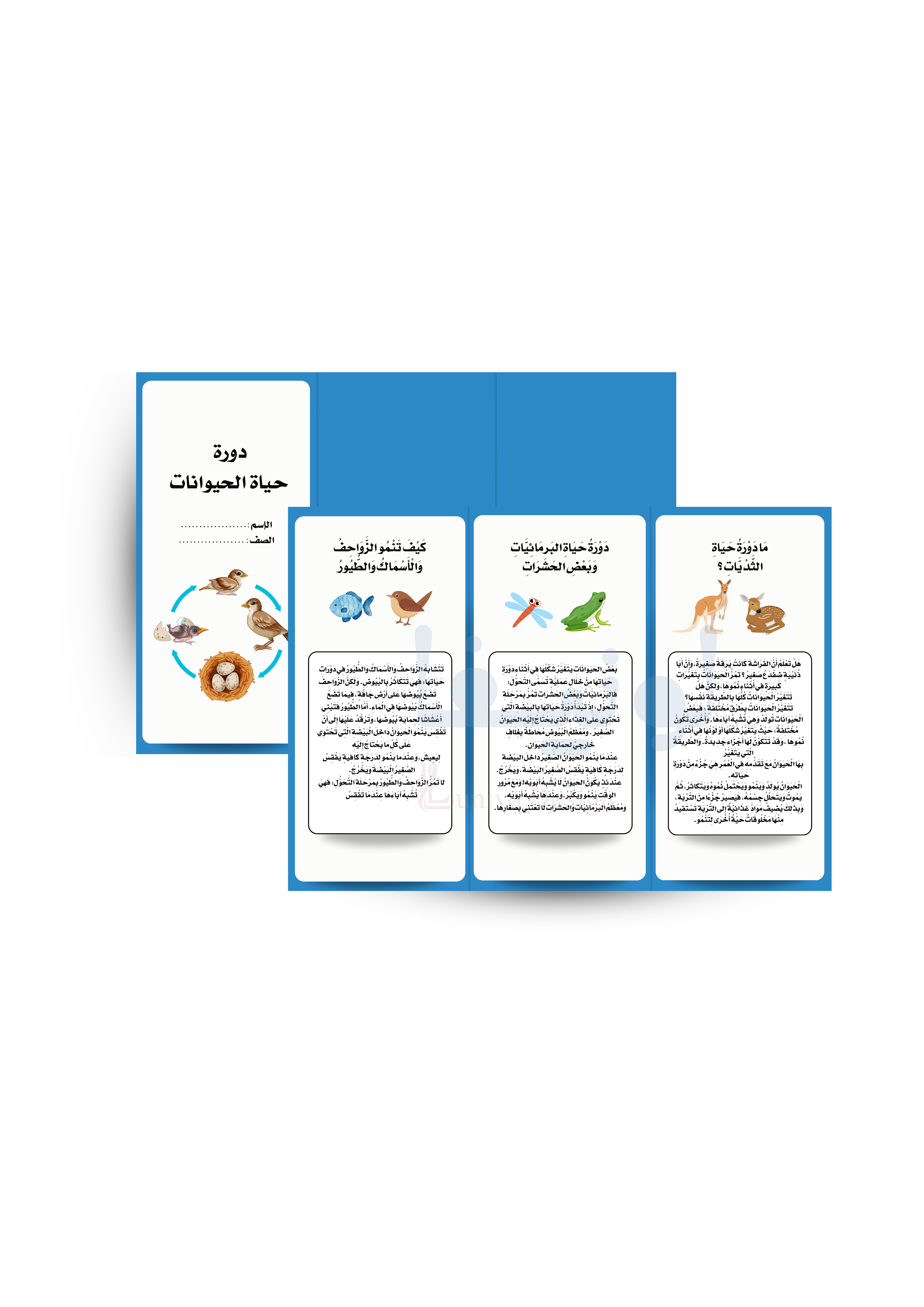 مطوية العلوم - دورة حياة الحيوانات