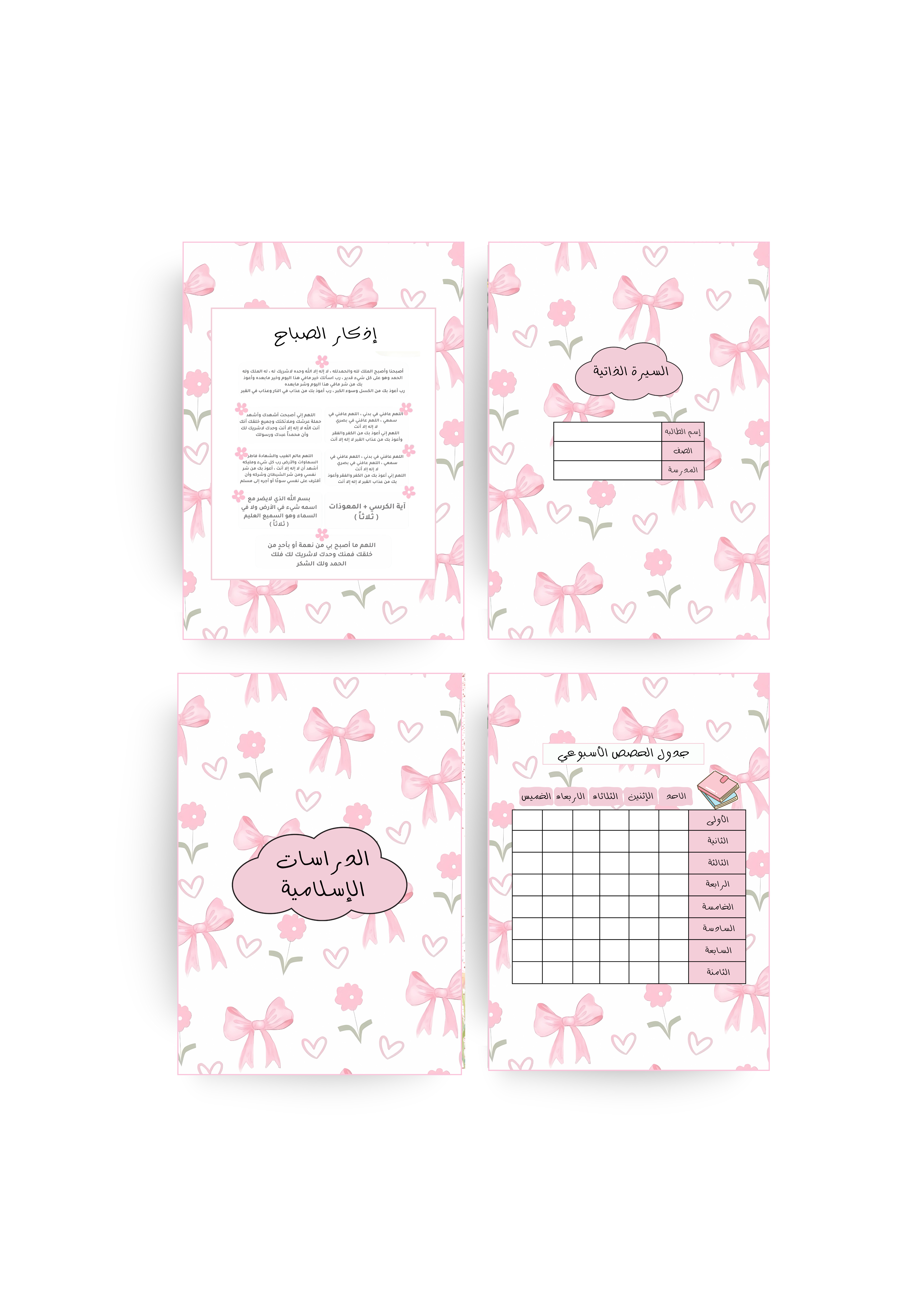 ملف إنجاز بنات - فيونكة 